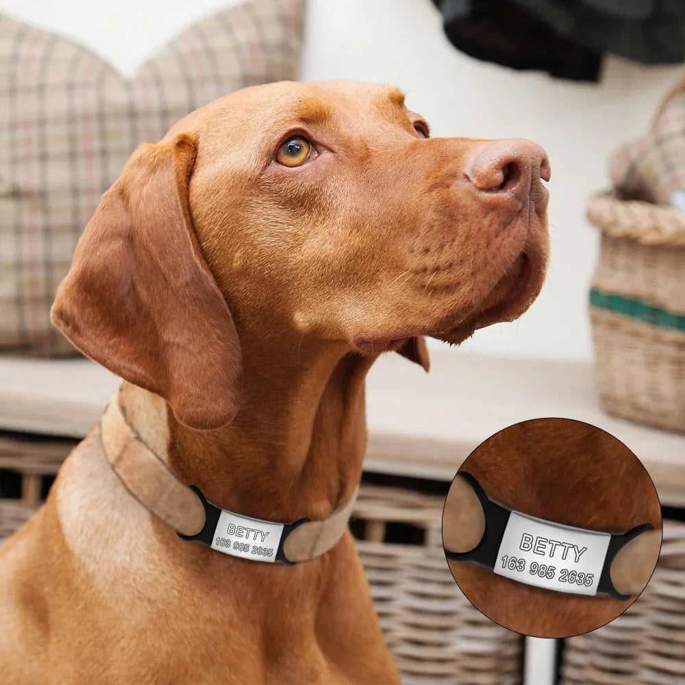 Pet Dog Tag