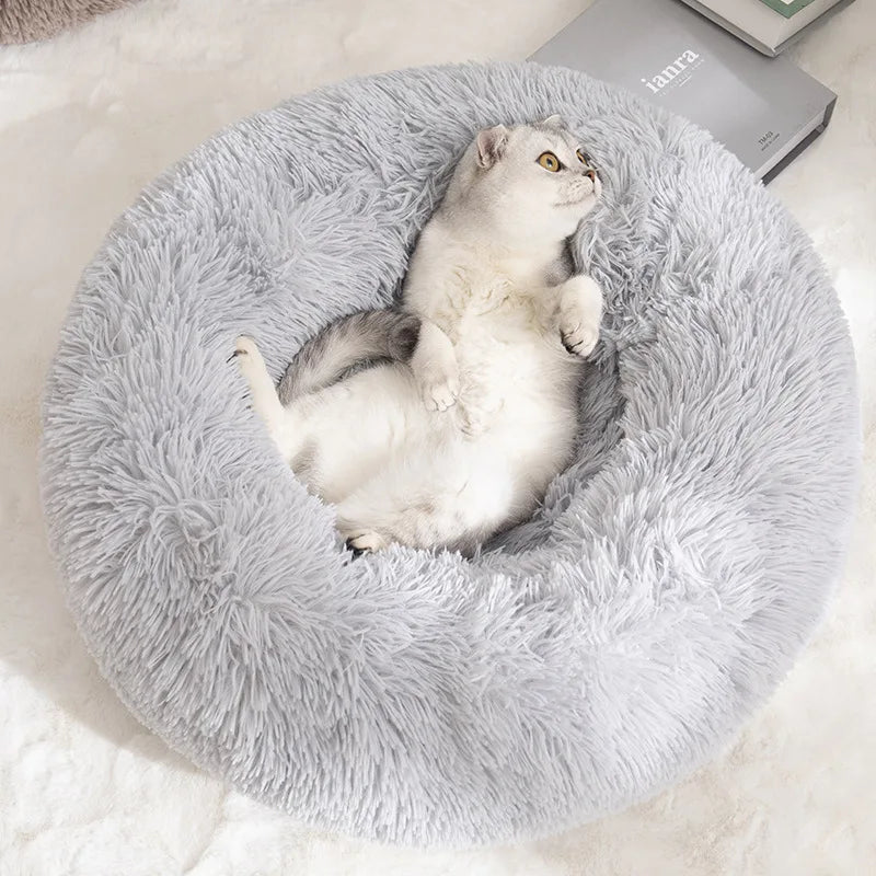 Dog Donut Bed